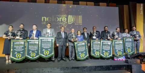 Circuito Nelore de Qualidade 2023 avaliou 32,8 mil bovinos no Brasil, Bolívia e Paraguai