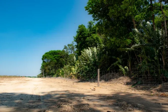 Invasões de animais silvestres causam grandes prejuízos; Cercamento é a solução para proteção e preservação dos animais