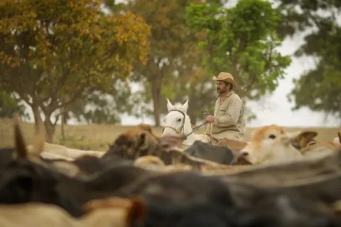 Pasto forte e robusto garante maior produtividade da pecuária; manejo adequado de plantas daninhas é a solução Pasto forte e robusto garante maior produtividade da pecuária; manejo adequado de plantas daninhas é a solução