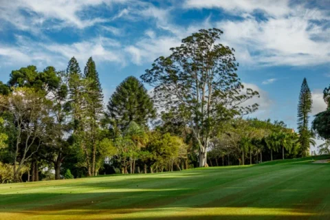 Porto Alegre Country Club abre oficialmente a Temporada do Golfe 2024 neste sábado (02/03)