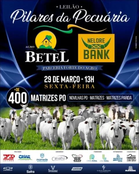Agro Bank e Agro Betel promovem o Leilão Pilares da Pecuária 2024, com a oferta de matrizes Nelore PO