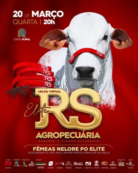 RS Agropecuária oferta fêmeas Nelore PO em leilão virtual
