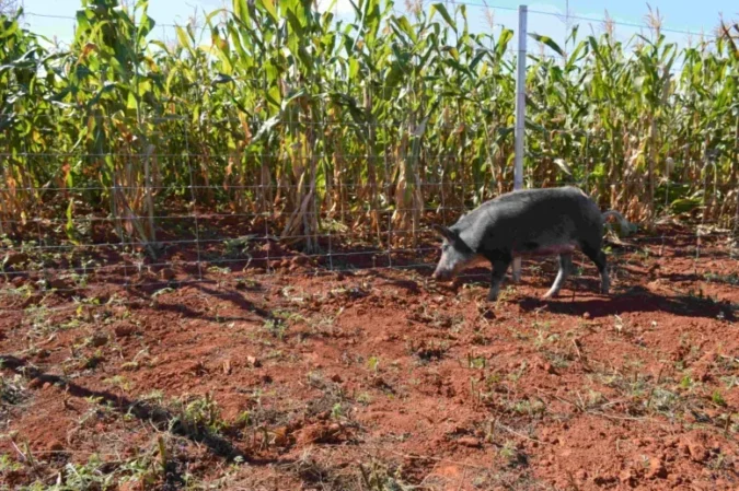 Belgo Arames leva cercas prontas para agricultura e pecuária à Expocamda 2024