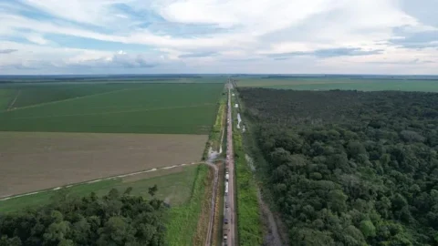 BR 163 escoa cerca de 50 milhões de toneladas de grãos e insumos por ano