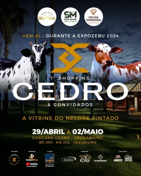1º Shopping Cedro & Convidados acontece em Uberaba (MG), durante a Expozebu 2024 1º Shopping Cedro & Convidados acontece em Uberaba (MG), durante a Expozebu 2024