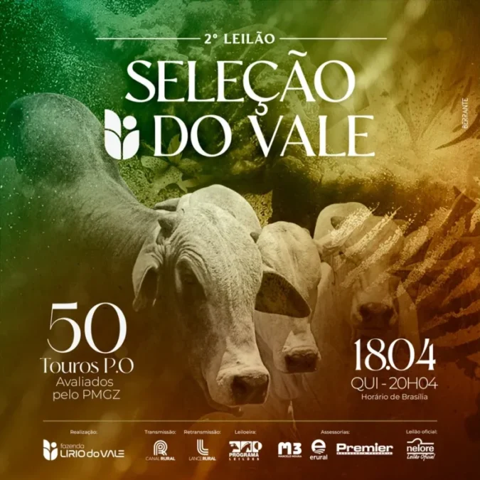 Fazenda Lírio do Vale oferta 50 touros Nelore PO em leilão virtual