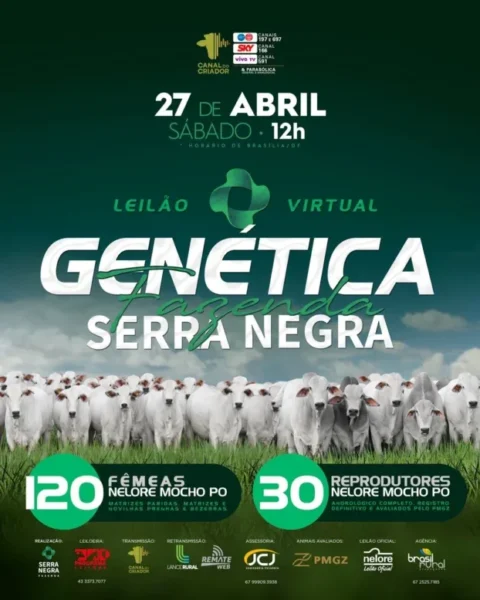 Fazenda Serra Negra promove leilão virtual com a oferta de 150 animais Fazenda Serra Negra promove leilão virtual com a oferta de 150 animais