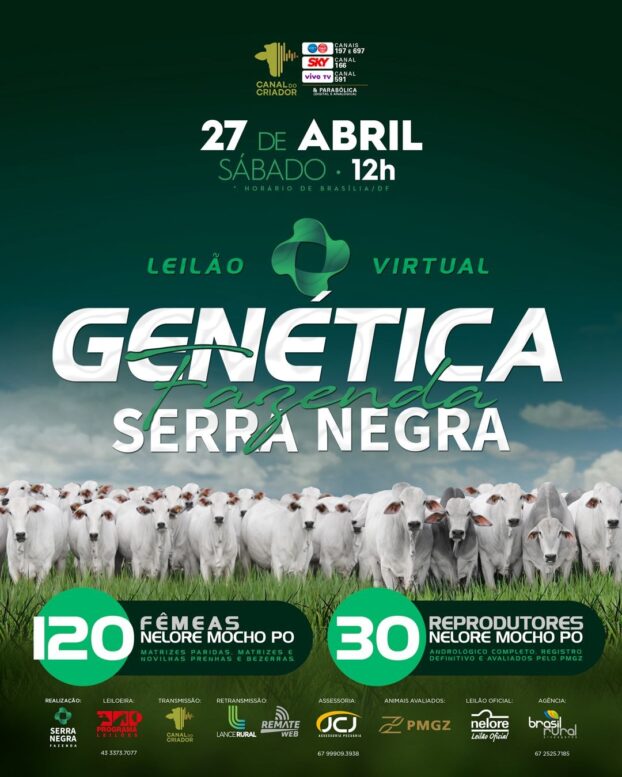 Fazenda Serra Negra promove leilão virtual com a oferta de 150 animais