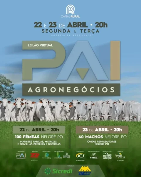 Leilão virtual do criatório Nelore Pai Agronegócios oferece 140 exemplares de excelência genética