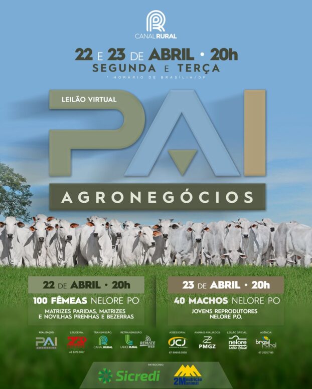 Leilão virtual do criatório Nelore Pai Agronegócios oferece 140 exemplares de excelência genética
