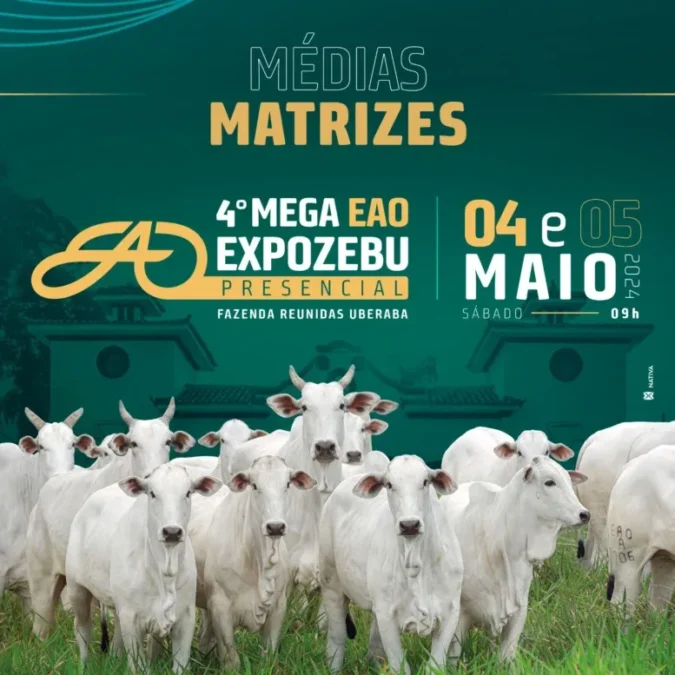 4º Mega Leilão EAO ofertará 62 animais em duas etapas
