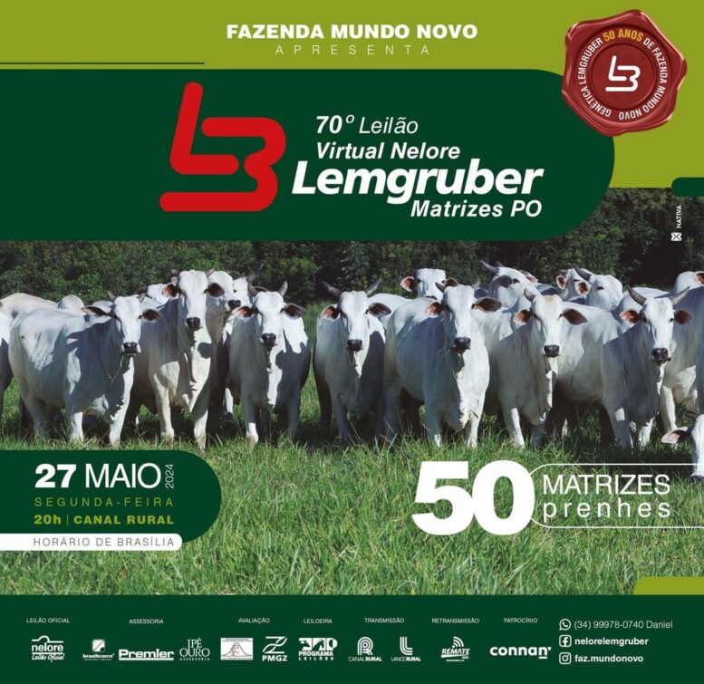 70° Leilão virtual Nelore Lemgruber oferta 50 lotes de matrizes