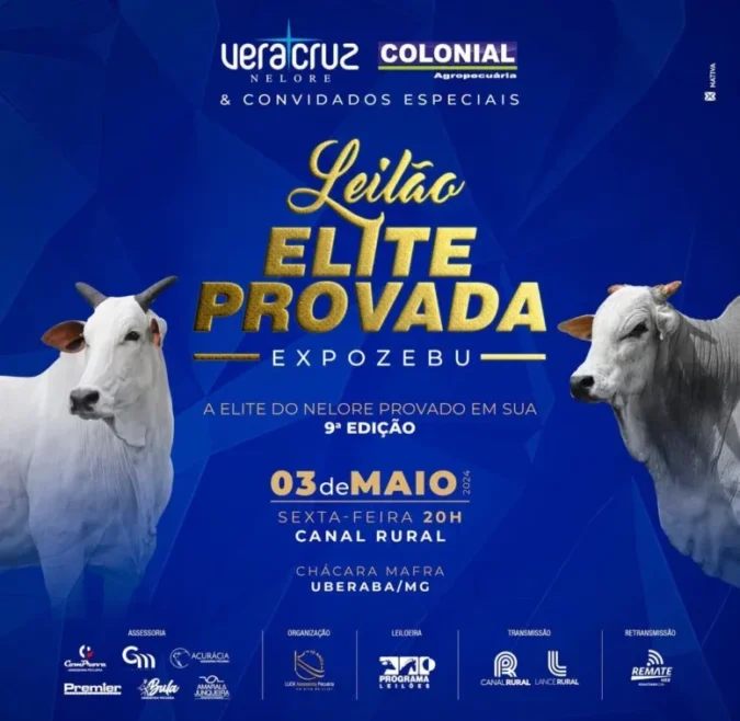 9ª Edição do Leilão Elite Provada acontece na Expozebu