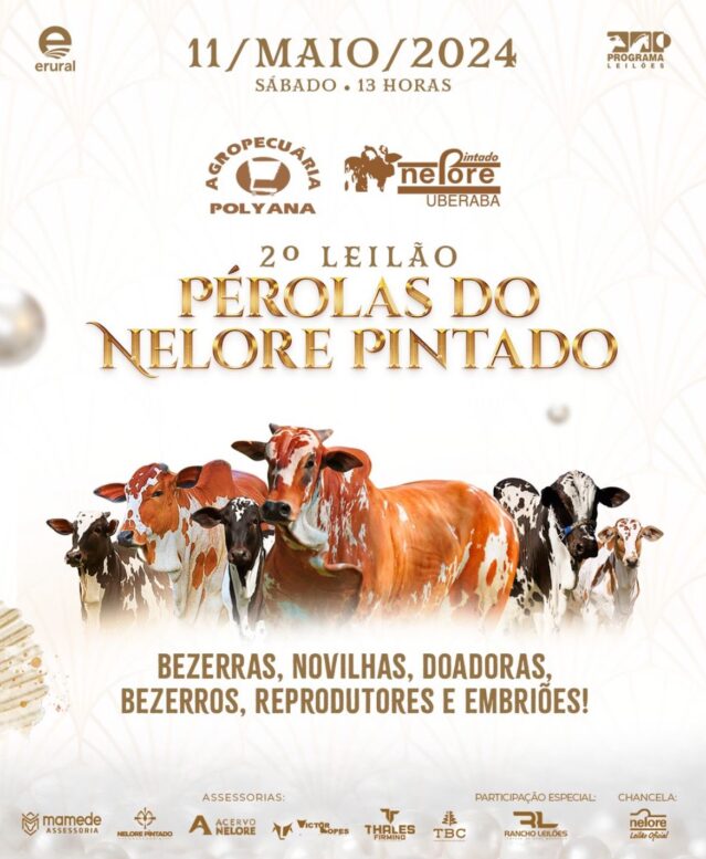 Leilão Pérolas do Nelore Pintado oferece 87 lotes neste sábado
