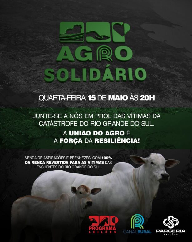 1º Leilão Agro Solidário (15.05) venderá prenhezes de vacas de destaque, como Viatina-19 FIV Mara Móveis, e aspirações em prol das vítimas do RS