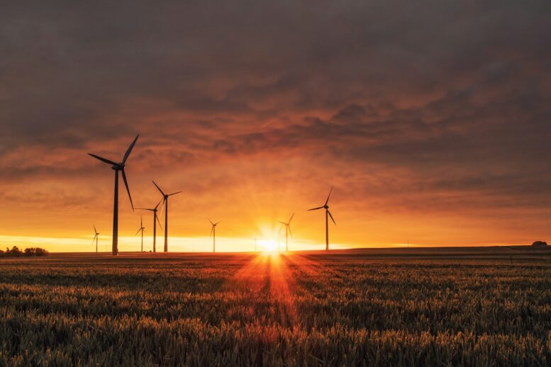 Startup revoluciona mercado energético brasileiro com economia de R milhões e acesso democratizado à energia limpa
