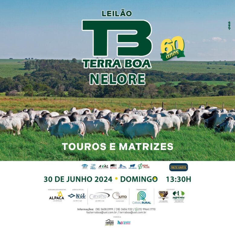 Leilão Terra Boa comemora seis décadas de excelência