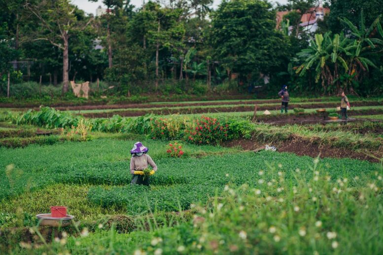 Como a tecnologia impacta o produtor rural