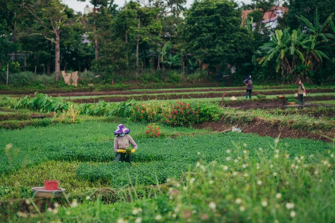 tecnologia e produtor rural