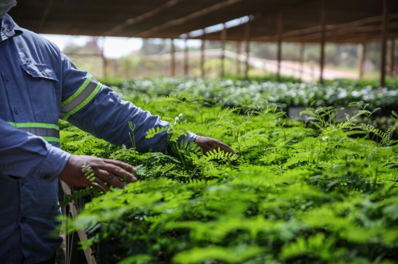 Hydro investe R$ 8,8 bilhões em tecnologias sustentáveis Hydro investe R$ 8,8 bilhões em tecnologias sustentáveis