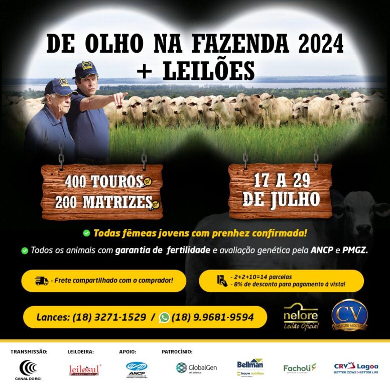 De Olho Na Fazenda oferece 600 machos e fêmeas Nelore Mocho