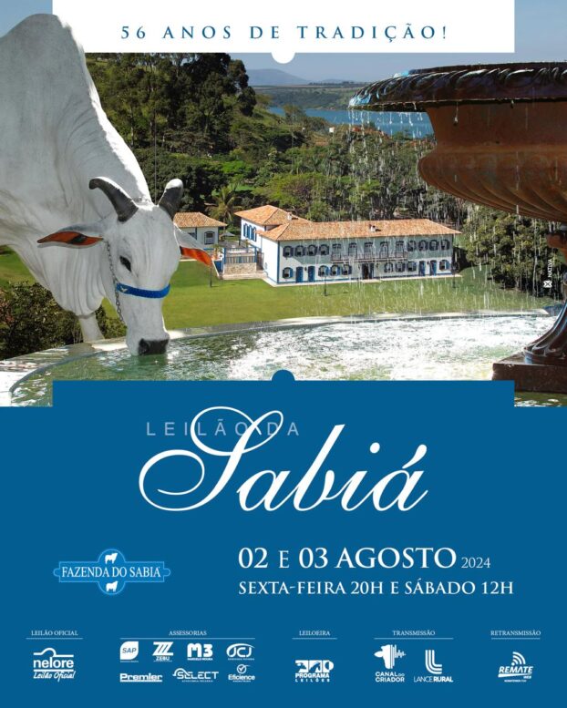 Fazenda do Sabiá realiza leilão de 62 lotes de Nelore com alto nível em Capitólio (MG) Fazenda do Sabiá realiza leilão de 62 lotes de Nelore com alto nível em Capitólio (MG)