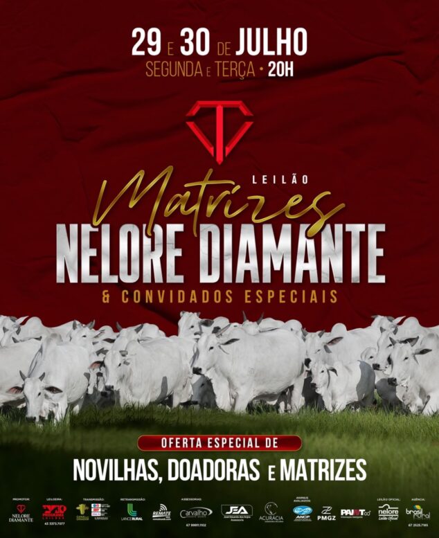 Nelore Diamante e Convidados realizam leilão com oferta de 100 animais de alta qualidade genética