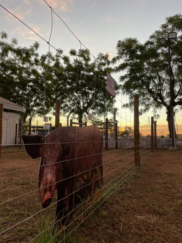 Belgo apresenta soluções em cercamento para enfrentar desafios da agropecuária durante a Expoimp, em Imperatriz (MA)