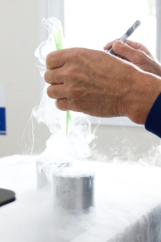 Produção e exportação de sêmen bovino crescem com força no primeiro trimestre Produção e exportação de sêmen bovino crescem com força no primeiro trimestre