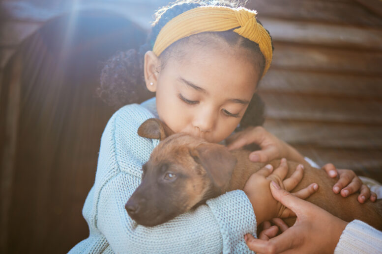 Quer adotar um cachorrinho? Veja 6 dicas essenciais