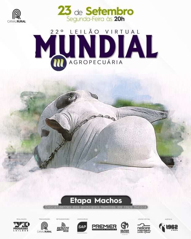 22º Leilão Virtual Mundial Agropecuária terá oferta de 66 machos Nelore 22º Leilão Virtual Mundial Agropecuária terá oferta de 66 machos Nelore