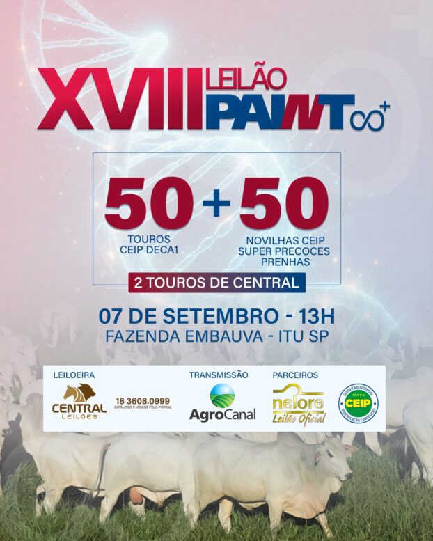 XVIII Leilão Paint terá 102 touros e novilhas Nelore