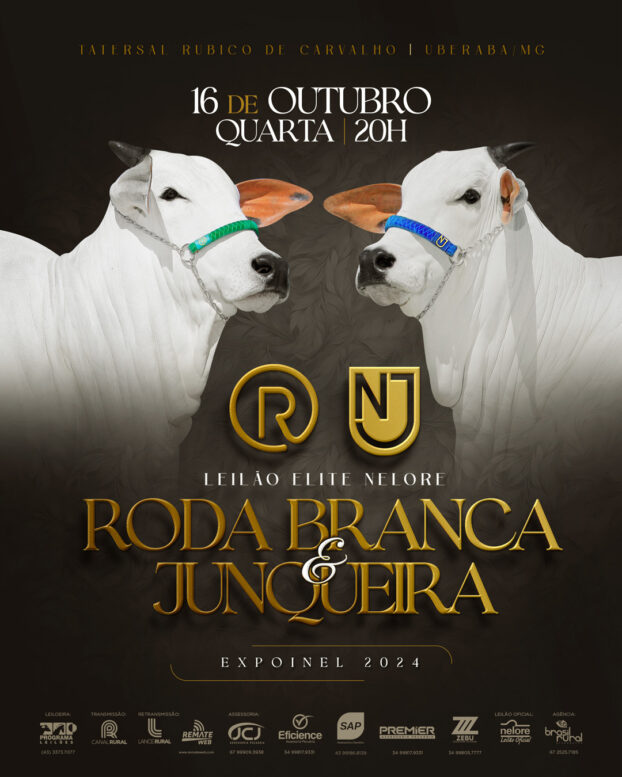 Leilão Elite Nelore Roda Branca & Junqueira será realizado na 53ª Expoinel, em Uberaba (MG) Leilão Elite Nelore Roda Branca & Junqueira será realizado na 53ª Expoinel, em Uberaba (MG)