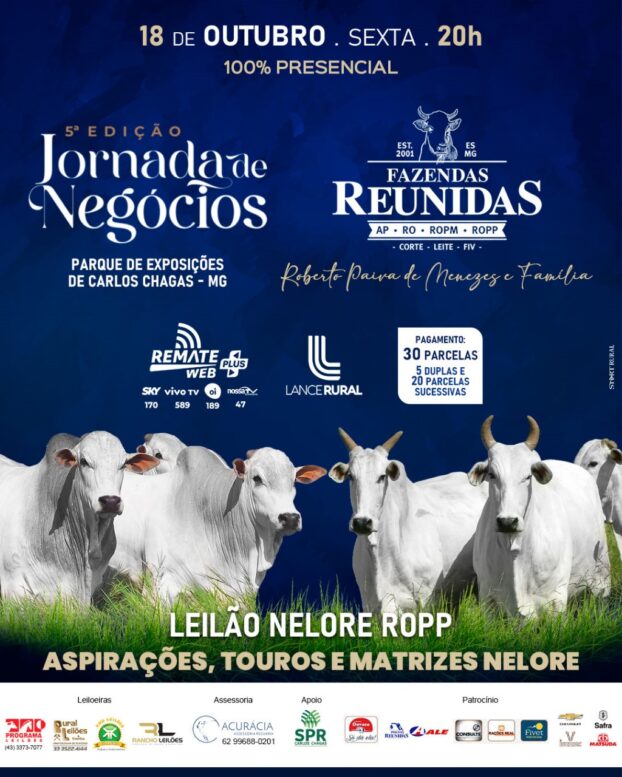 Mais de 54 lotes serão ofertados na Jornada de Negócios – Fazendas Reunidas