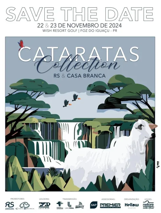 60 lotes de Nelore serão ofertados no Leilão Cataratas Collection