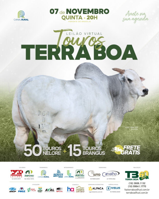 Fazenda Terra Boa realiza leilão com oferta de 65 touros Nelore