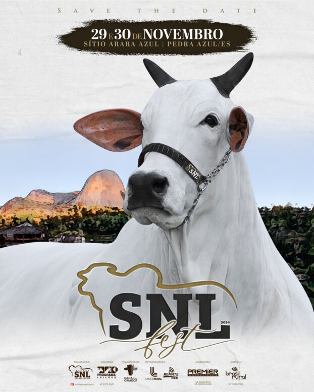Leilão SNL Fest 2024 terá oferta de mais de 300 animais da raça Nelore