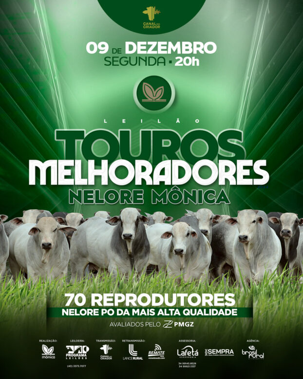 Nelore Monica realiza leilão com oferta de 70 touros melhoradores