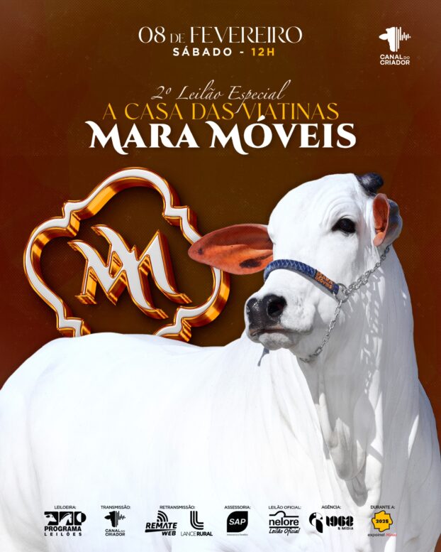 Nelore Mara Móveis realiza leilão de 65 lotes, em Uberaba (MG)