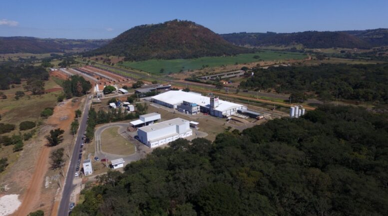 Fider expande produção de tilápia em 80% e projeta crescimento de 30% no faturamento