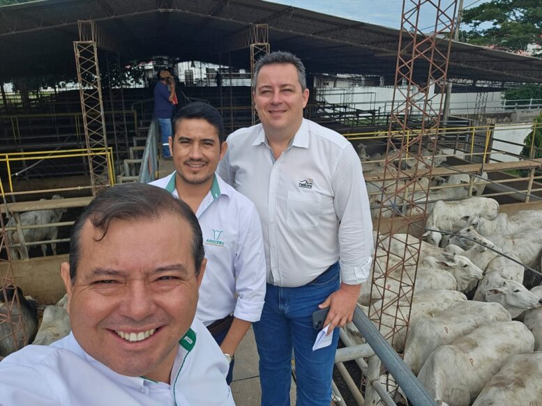 Primeira etapa internacional do Circuito Nelore de Qualidade 2025, realizada na Bolívia, têm resultados divulgados