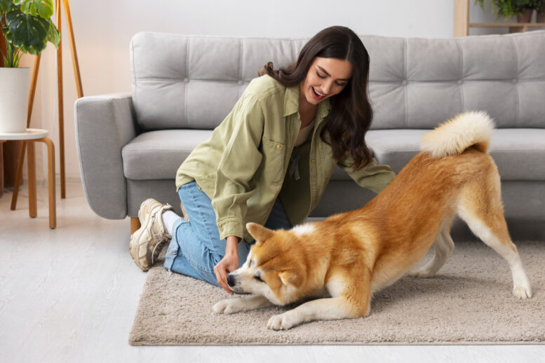 Boa higiene do ambiente é essencial para prevenção de doenças em pets, orienta especialista Boa higiene do ambiente é essencial para prevenção de doenças em pets, orienta especialista