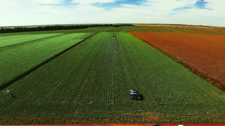 Primeiro episódio da websérie Rota Regenerativa resgata a história da agricultura brasileira