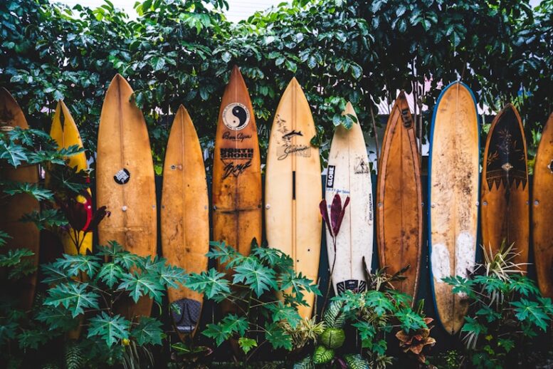 REMA reuniu milhares em Saquarema em festival com surfe, skate, arte e mobilização social