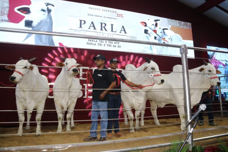 Legado de Parla FIV AJJ alcança nova valorização e atinge marca recorde de R$ 27,3 milhões