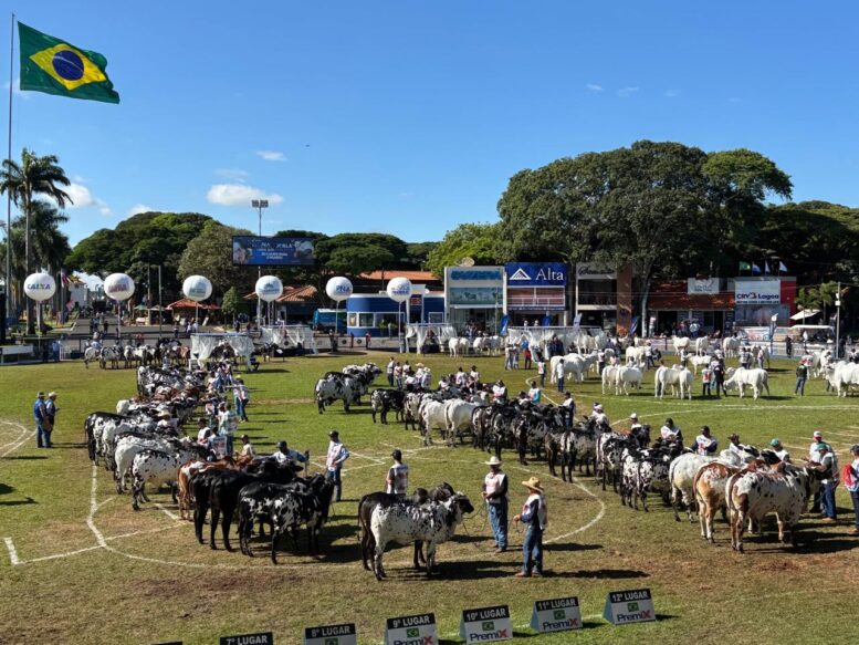 Nelore leva à 90ª Expozebu mais de 1.148 animais, com 155 expositores de 16 estados