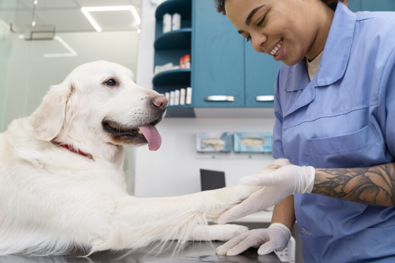 IDOMED abre inscrições para vestibular unificado de Medicina com vagas em todo o Brasil