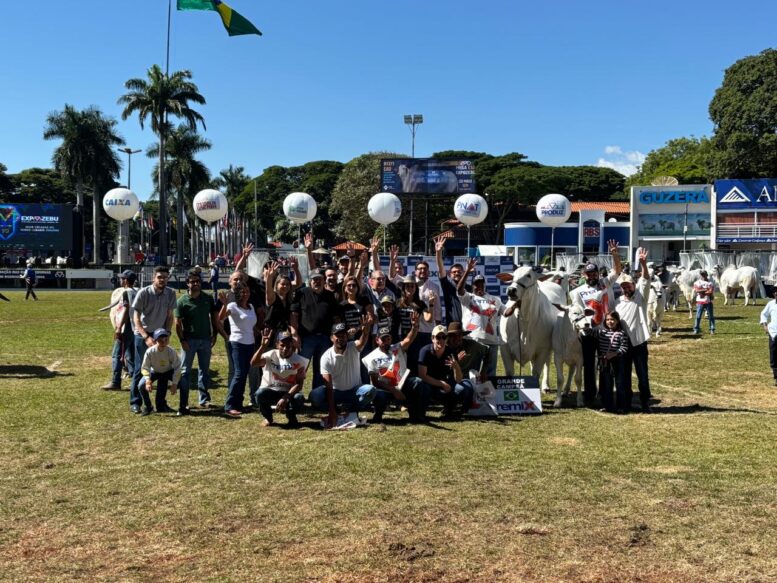 Carina FIV do Kado é bicampeã Nelore na 90ª Expozebu