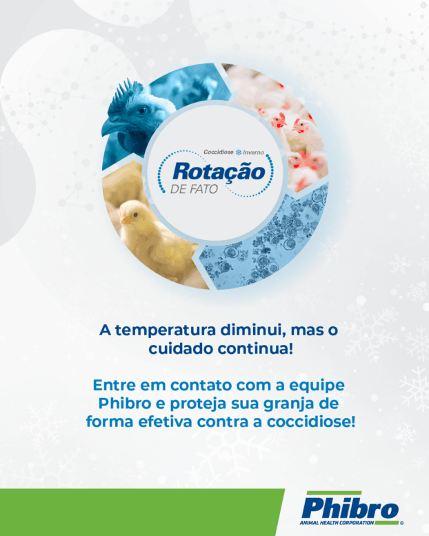 Coccidiose é desafio para a avicultura nos meses mais frios do ano. Monitoramento e rotina são essenciais para a prevenção da doença