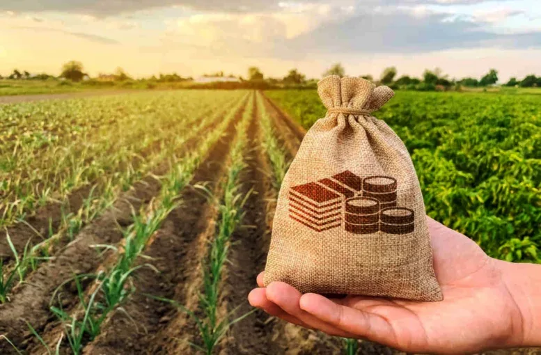 Procura por consórcio no segmento agro cresce 51% este ano, na Sicredi Dexis